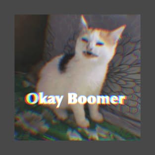 Ok Boomer Cat Meme T-Shirt