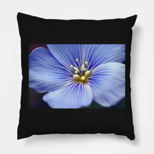 Blue Flower Pillow