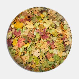 autumn season foliage Pin