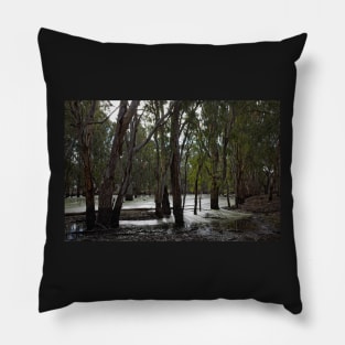 After the flood Pillow