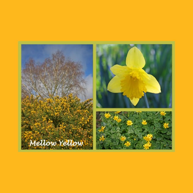 Mellow Yellow by RedHillDigital