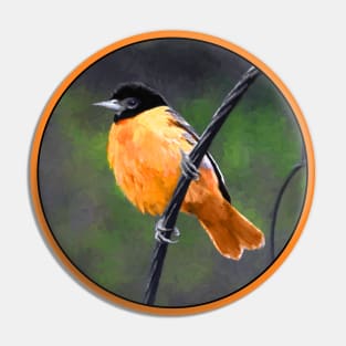 Baltimore Oriole Pin