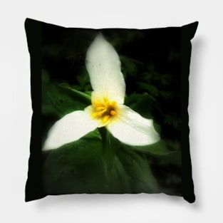 white trillium, dark background Pillow