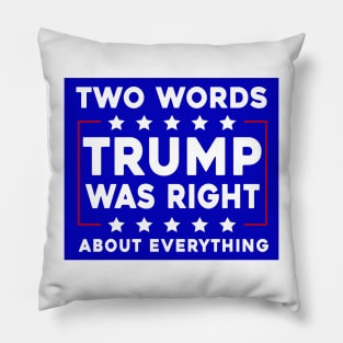 Two Words Trump Was Right Funny Joe Biden Pillow