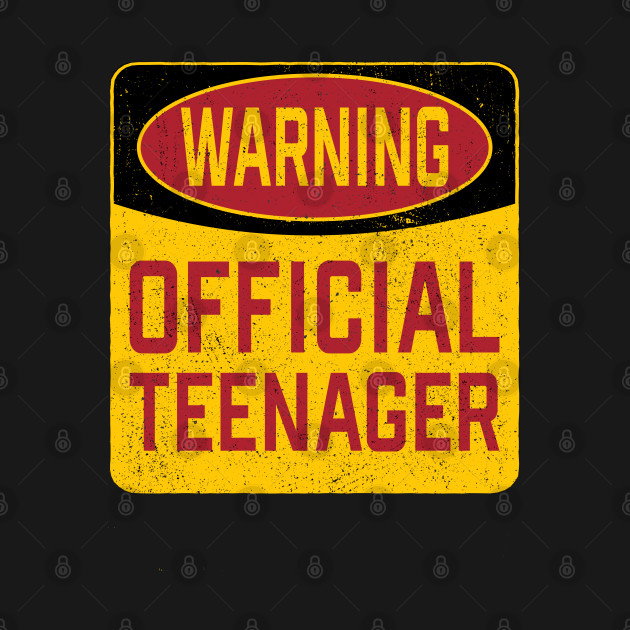 Discover 13th Birthday - Warning Official Teenager - 13th Birthday - T-Shirt