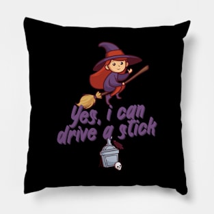 Yes, i can drive a stick Pillow