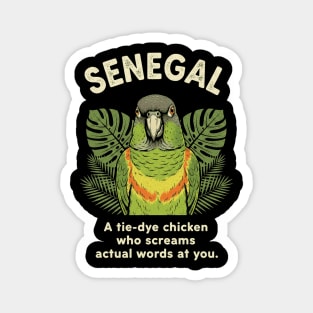Senegal Parrot Tie Dye Chicken Screaming Actual Words Bird Slogan Magnet