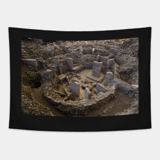 Gobekli Tepe in Sanliurfa, Turkey. Tapestry