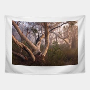 Australian Bush In Fog Tapestry