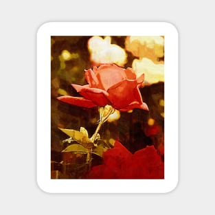 Single Rose Bloom In Gothic Magnet