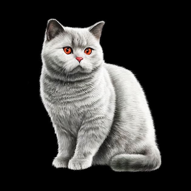 British Shorthair Cat, Love British Shorthair Cats by dukito