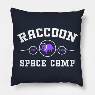 Raccoon Space Camp Pillow