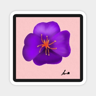 flower primrose violet Magnet