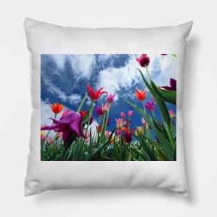 Multi color Tulips Pillow