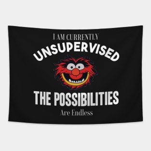 I am currently unsupervised I know it freaks me out too but possibilities are endless Tapestry