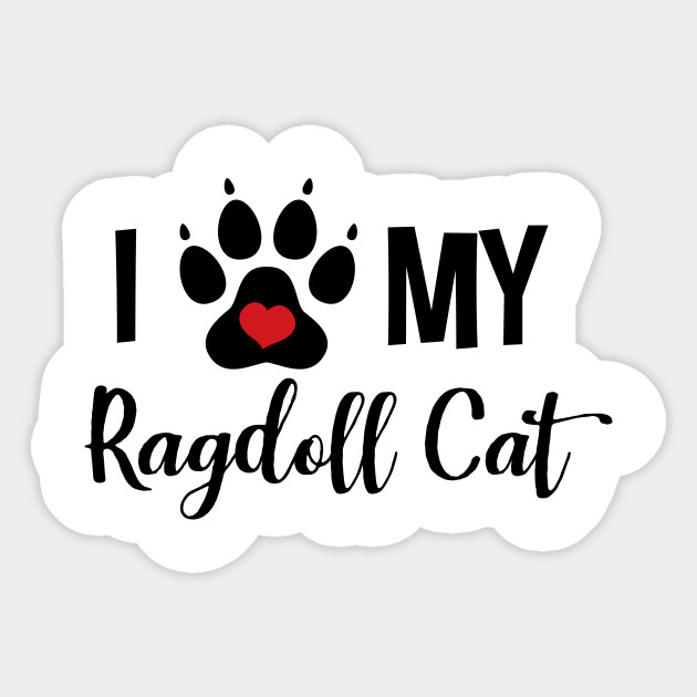 I Love My Ragdoll Cat Ragdoll Cat Sticker Teepublic