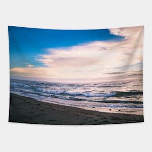 Cold Day at the Beach, New-Brunswick Canada V2 Tapestry