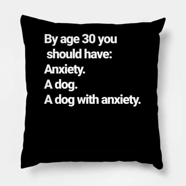 Age 30 checklist, I have one of these.... Pillow by Farm Road Mercantile 