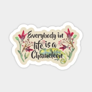 Everybody in life is a Chameleon Magnet