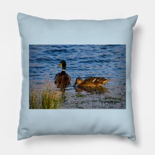 Two little ducks Pillow