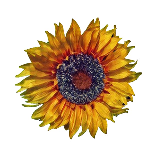 Sunflower-Digital Painting by PhotoArts