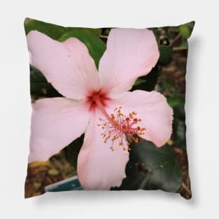 Pink Hawaiian Flower Pillow