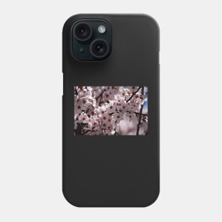 Japanese Cherry Tree (#4) Phone Case