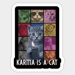 Karma is a Cat Sticker  Taylor Swift Vinyl Stickers – handsomeprintsdesign