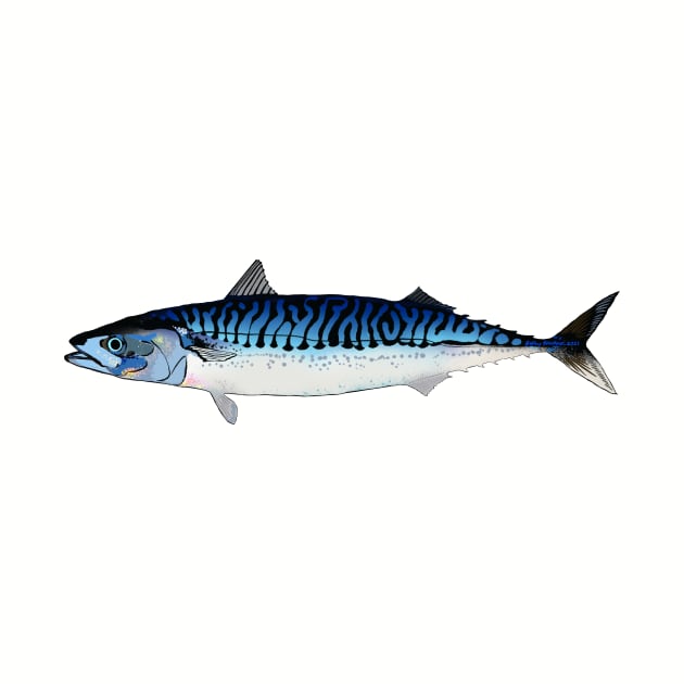 Royal Blue Mackerel by betsyschrock