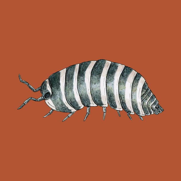 Armadillidium maculatum- Zebra Isopod by paintedpansy