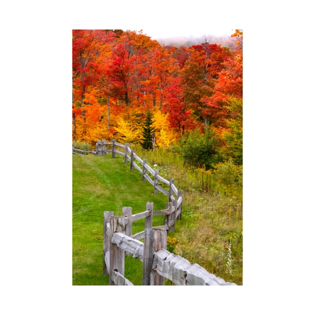 Southridge Autumn Fence by srwdesign