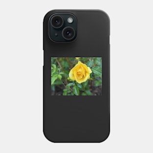 Yellow Rose 3 Phone Case