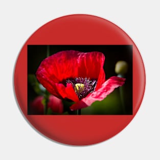 Artistic Poppy Pin