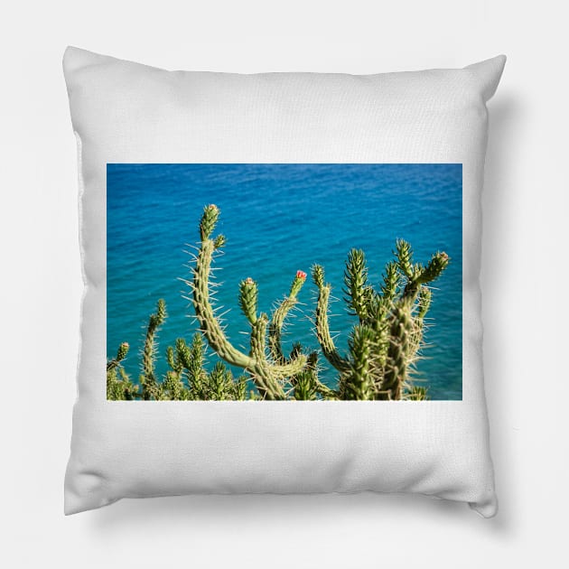 Prickly. Pillow by sma1050