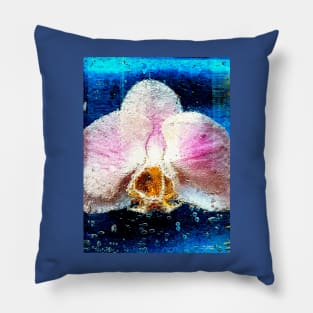 Orchid in Water Pillow