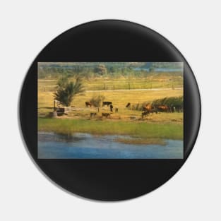 A River Nile Island With Cattle Pin