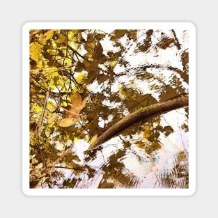 Autumn leaves on water, water, autumn, fall, leaves, summer, beach, stream, tree, exotic, tan Magnet