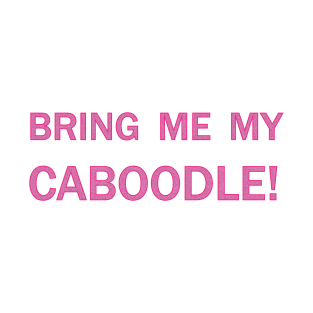 Bring me my caboodle! T-Shirt