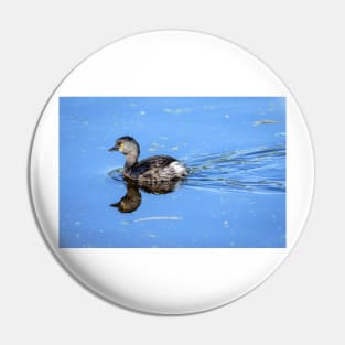 Least Grebe and Its Reflection Pin