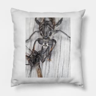 Robber fly with prey Pillow