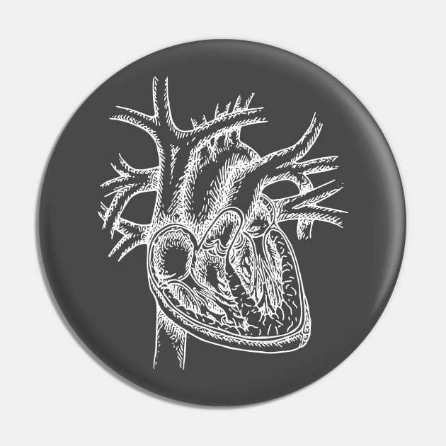 The Dissected Heart Sketch (White) Pin by michaelkdamron