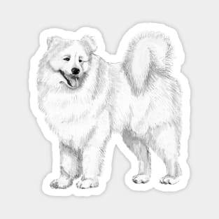 Samoyed Magnet