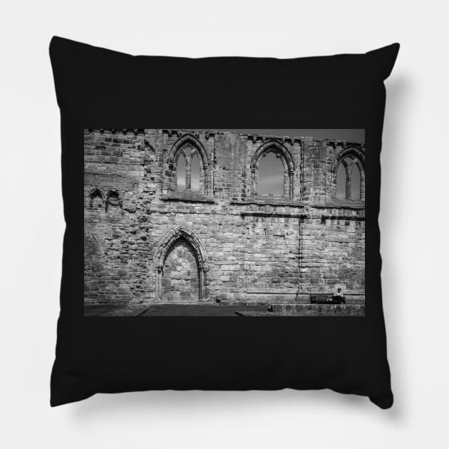 Reading History Pillow by Errne