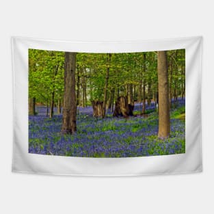 Bluebells Bluebell Woods Greys Court Oxfordshire UK Tapestry