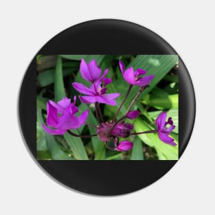 Forest Bathing with the Perfectly Pure Purple Wildflower Pin