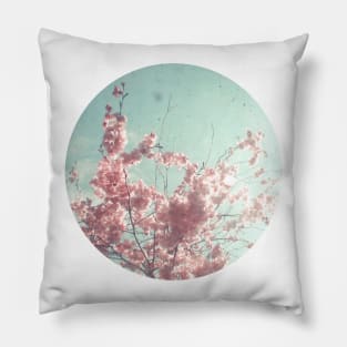 Candy Floss Pillow