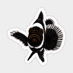 Black ocellaris clownfish Magnet