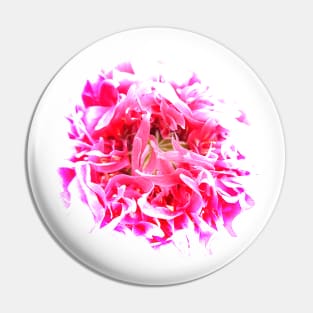pink poppy Pin