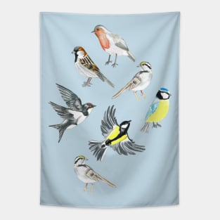 Illustrated Birds Tapestry