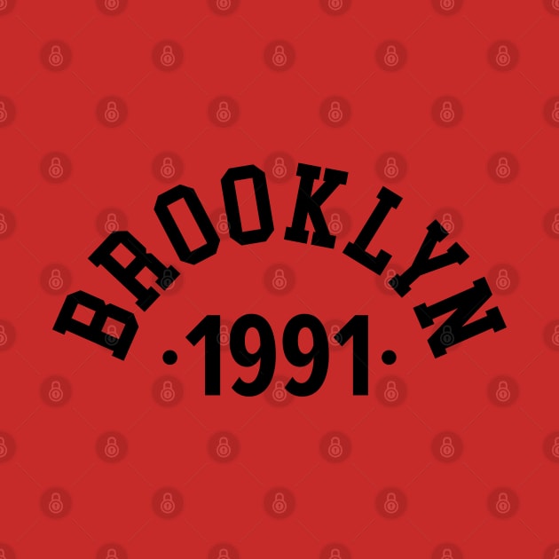 Brooklyn Chronicles: Celebrating Your Birth Year 1991 by Boogosh